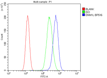 DRP1/DNM1L Rabbit Polyclonal Antibody