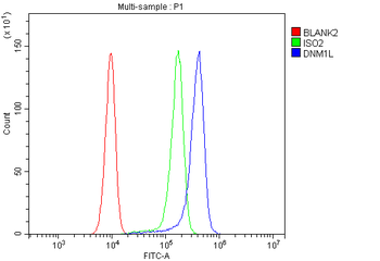 DRP1/DNM1L Rabbit Polyclonal Antibody