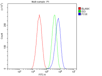 JAM-A/F11R/JAM Rabbit Polyclonal Antibody