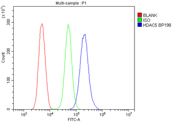 HDAC5 Rabbit Polyclonal Antibody