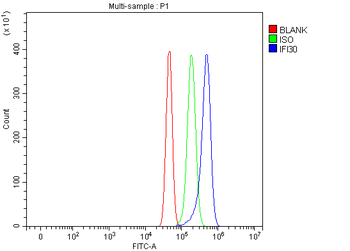 GILT/IFI30 Rabbit Polyclonal Antibody