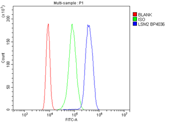 LSM2 Rabbit Polyclonal Antibody