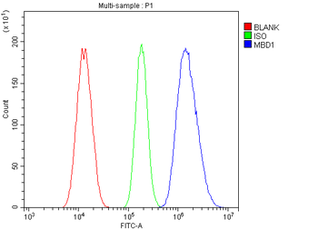 MBD1 Rabbit Polyclonal Antibody