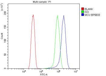 MCU Rabbit Polyclonal Antibody