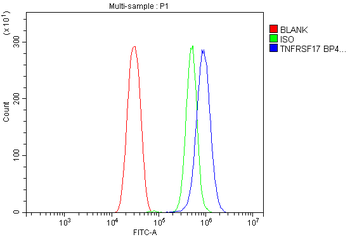 BCMA/Tnfrsf17 Rabbit Polyclonal Antibody
