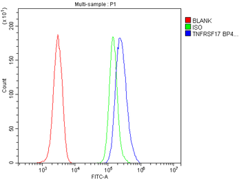 BCMA/Tnfrsf17 Rabbit Polyclonal Antibody