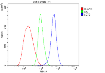 CD72 Rabbit Polyclonal Antibody