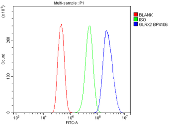 GRX2/GLRX2 Rabbit Polyclonal Antibody