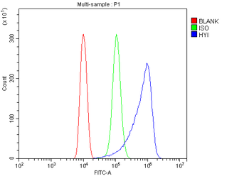 HYI Rabbit Polyclonal Antibody