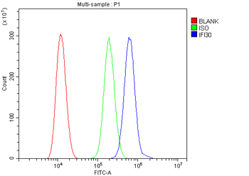 GILT/IFI30 Rabbit Polyclonal Antibody