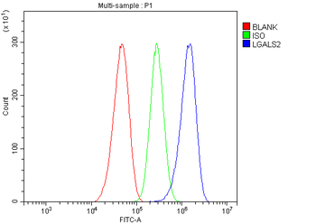 Galectin 2/LGALS2 Rabbit Polyclonal Antibody
