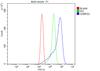 GABA A Receptor gamma 2/GABRG2 Rabbit Polyclonal Antibody