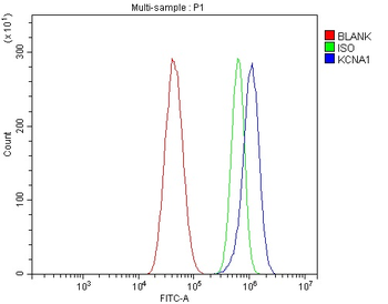 Kv1.1 potassium channel/KCNA1 Rabbit Polyclonal Antibody