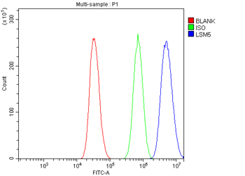 LSM5 Rabbit Polyclonal Antibody