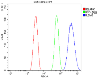 LSM5 Rabbit Polyclonal Antibody