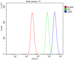 LSM7 Rabbit Polyclonal Antibody