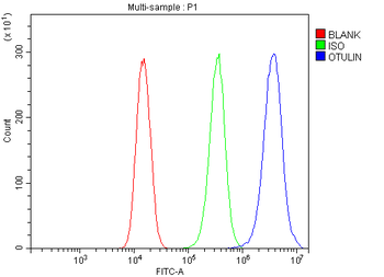 OTULIN Rabbit Polyclonal Antibody