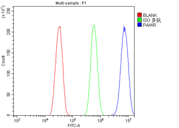PAR4/Pawr Rabbit Polyclonal Antibody