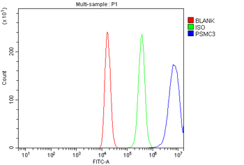 TBP-1/PSMC3/TBP Rabbit Polyclonal Antibody