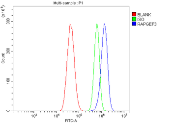 Epac1/RAPGEF3 Rabbit Polyclonal Antibody