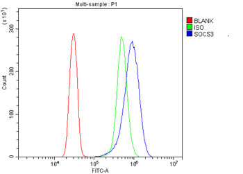 SOCS3 Rabbit Polyclonal Antibody