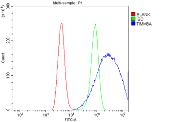 TIMM8A/DDP Rabbit Polyclonal Antibody