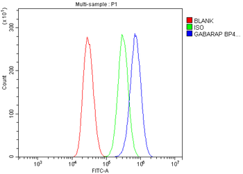 GABARAP Rabbit Polyclonal Antibody