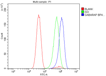 GABARAP Rabbit Polyclonal Antibody