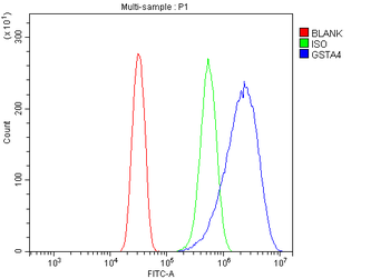 GSTA4 Rabbit Polyclonal Antibody