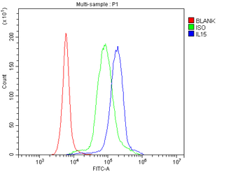 IL15 Rabbit Polyclonal Antibody