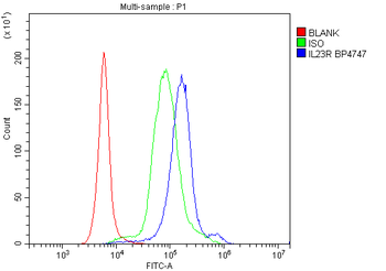 IL23 Receptor/IL23R Rabbit Polyclonal Antibody