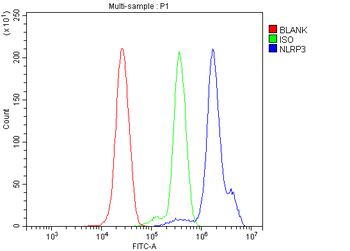 CIAS1/NALP3/NLRP3 Rabbit Polyclonal Antibody
