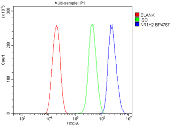 LXR beta/NER/NR1H2 Rabbit Polyclonal Antibody