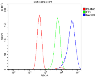 RAB1B Rabbit Polyclonal Antibody
