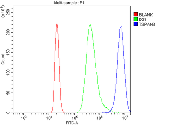 Tspan-8/Tspan8 Rabbit Polyclonal Antibody