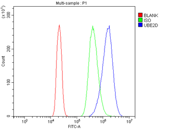 UBE2D1/2/3/4 Rabbit Polyclonal Antibody