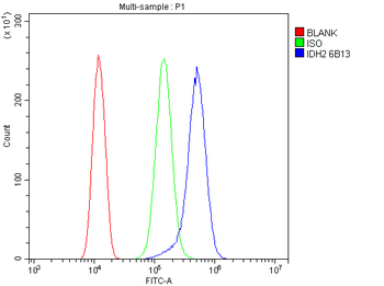 IDH2 Mouse Monoclonal Antibody
