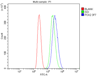 PCK2 Mouse Monoclonal Antibody