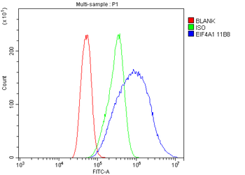 EIF4A1 Mouse Monoclonal Antibody