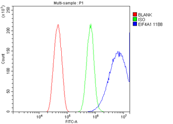 EIF4A1 Mouse Monoclonal Antibody