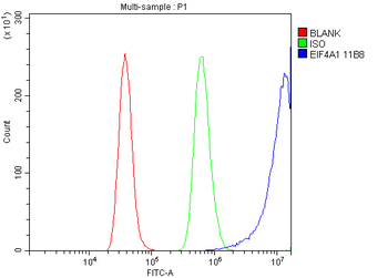 EIF4A1 Mouse Monoclonal Antibody