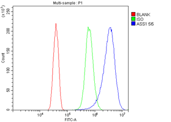 ASS1 Mouse Monoclonal Antibody