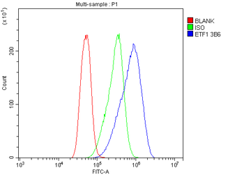 eRF1/ETF1 Mouse Monoclonal Antibody