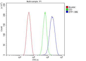 eRF1/ETF1 Mouse Monoclonal Antibody