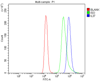 IL37 Rabbit Polyclonal Antibody
