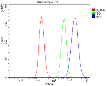 NEFL/NF-L/NF Rabbit Polyclonal Antibody