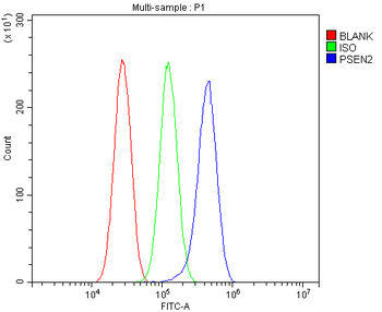 Presenilin 2/AD5/PSEN2 Rabbit Polyclonal Antibody