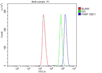 PARP/PARP1 Mouse Monoclonal Antibody