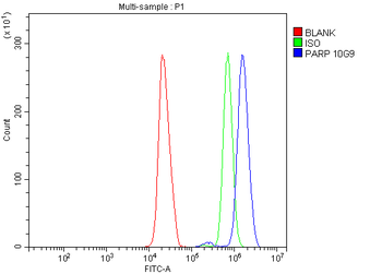 PARP/PARP1 Mouse Monoclonal Antibody