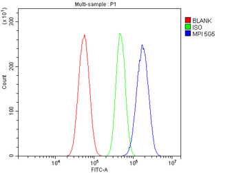 MPI Mouse Monoclonal Antibody
